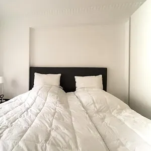 Stylish Classic Danish Design Apartment